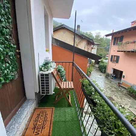 Little Forest In Apartman